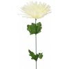 Květina Chryzantéma jehlicovitá krémová 48 cm, balení 12 ks