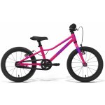 Amulet Tomcat 2023 – Hledejceny.cz