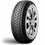 GT Radial WinterPro 2 235/60 R17 106H – Hledejceny.cz