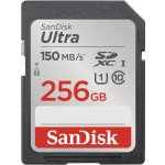 SanDisk SDXC Class 10 256 GB SDSDUNC-256G-GN6IN – Zboží Mobilmania