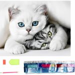 Norimpex Diamantové malování Kočičí tajemství 30 x 40 cm – Sleviste.cz