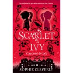 Ztracené dvojče - Sophie Cleverly – Hledejceny.cz