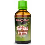 Bylinné kapky Bříza pupeny tinktura 50 ml – Hledejceny.cz