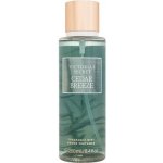 Victoria´s Secret Cedar Breeze tělový sprej 250 ml – Zboží Mobilmania