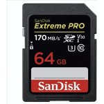 SanDisk SDXC UHS-I U3 64 GB SDSDXXY-064G-GN4IN – Zboží Živě