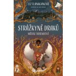 Strážkyně draků: Město tajemství - Liz Flanaganová – Zbozi.Blesk.cz