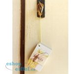 Brouci - Kapesní atlas | Pavlína Lörinczová – Sleviste.cz