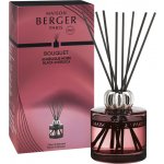 Maison Berger Paris Duality aroma difuzér s tyčinkami Black Angelica Černá andělika 180 ml – Hledejceny.cz