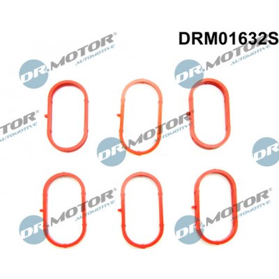 Sada těsnění, koleno sacího potrubí Dr.Motor Automotive DRM01632S | Zboží Auto