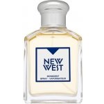 Aramis New West toaletní voda pánská 100 ml – Hledejceny.cz