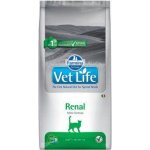 Vet Life Cat Renal 10 kg – Zboží Dáma Vet Life Cat Renal 10 kg – Zboží Dáma