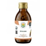Salvia Paradise Psyllium kapsle 120 ks – Hledejceny.cz