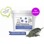 Dromy GastroHeal CONCENTRATE 9 kg – Zboží Mobilmania