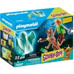Playmobil 70287 SCOOBY-DOO! Scooby & Shaggy – Hledejceny.cz