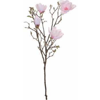 SHISHI Růžová magnolie 115 cm