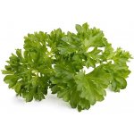Emsa Click&Grow parsley seeds Smart Garden – Zbozi.Blesk.cz