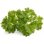 Emsa Click&Grow parsley seeds Smart Garden – Sleviste.cz