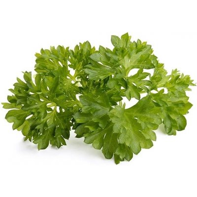 Emsa Click&Grow parsley seeds Smart Garden – Sleviste.cz