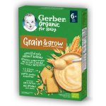 Gerber Organic Nemléčná kaše pšeničně-ovesná BIO příchuť sušenky 200 g – Zboží Mobilmania