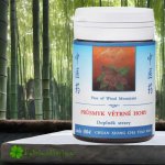TCM Herbs Průsmyk větrné hory 100 tablet – Hledejceny.cz
