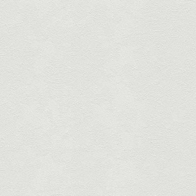 A.S. Création 103611 přetíratelné tapety na zeď Meistervlies Protect 4 rozměry 0,53 x 10,05 m – Hledejceny.cz