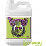 Advanced Nutrients Big Bud Liquid 500 ml – Zboží Mobilmania