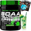 Scitec Nutrition BCAA + Glutamine Xpress 300 g