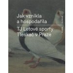 Jak vznikla a hospodařila TJ Letové sporty Tleskač v Praze – Hledejceny.cz