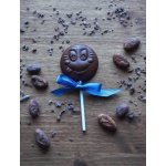 Míšina čokoláda Čokoládové lízátko mléčné 16,5 g – Zboží Dáma