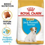 Royal Canin Jack Russell Puppy 0,5 kg – Zboží Mobilmania