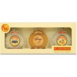 R. Jelínek Slivovice, Bohemia Honey a Hruškovice 3 x 0,2 l (set) – Zboží Dáma