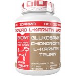 Giom Chondro L-karnitin Forte 180 tbl – Hledejceny.cz