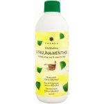 Emendo saunová aroma s vůní lemon menthol 500 ml – Hledejceny.cz