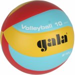 Gala Volleyball 10 BV5551S – Zboží Mobilmania