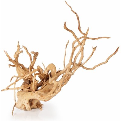 Tommi kořen Spider wood velký – Zboží Mobilmania
