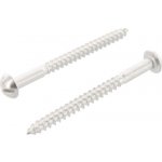 Nerezový vrut DIN 96 A2 5,5X40 – Hledejceny.cz