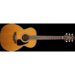 Takamine GN30 – Sleviste.cz