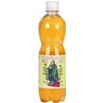 Stevikom Kombucha zelený čaj 0,5 l – Zboží Dáma