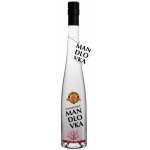 Hustopečská mandlovka 38% 0,5 l (karton) – Sleviste.cz