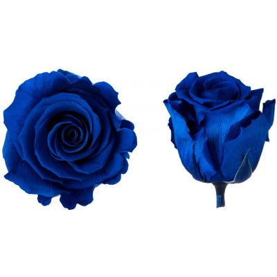 Hlavy růží - princess 16 ks Royal blue - tmavě modrá – Hledejceny.cz