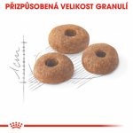 Royal Canin Fit 2 kg – Sleviste.cz