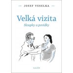 Velká vizita - Sloupky a povídky - Josef Veselka – Hledejceny.cz