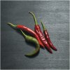 Obraz Postershop Obraz na plátně: Chilli papričky - 30x30 cm