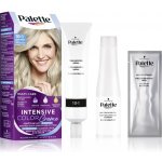 Pallete Intensive Color Creme C10 Ledový stříbřitě plavý barva na vlasy – Sleviste.cz