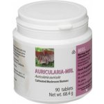 MRL Auricularia auricula boltcovitka ucho Jidášovo 90 tablet – Hledejceny.cz