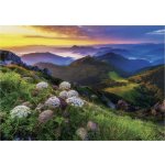Dino Malá Fatra 500 dílků – Zboží Dáma