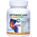 Annabis Arthrocann Collagen Omega 3-6 Forte 60 tablet – Hledejceny.cz