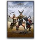 Realms of Arkania: Blade of Destiny