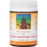 TCM Herbs Svěžest podvečerní pagody 185 100 tablet – Sleviste.cz