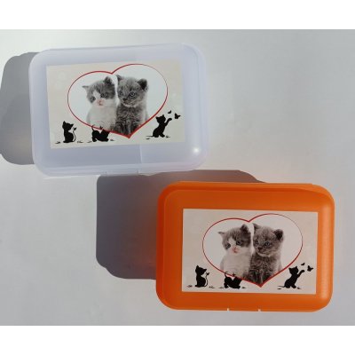 Tvar box svačinový dětský dekor plast – Zboží Dáma